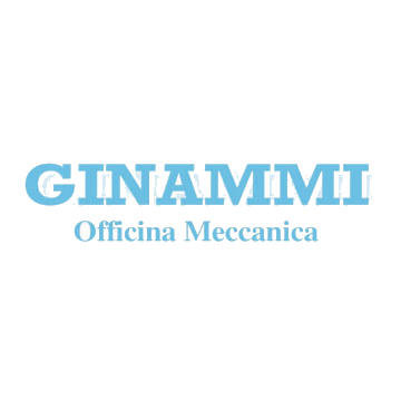 REMONDINI IMPIANTI - ginammi